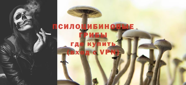 ПСИЛОЦИБИНОВЫЕ ГРИБЫ Алзамай