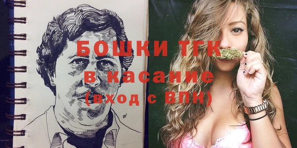 ПСИЛОЦИБИНОВЫЕ ГРИБЫ Алзамай